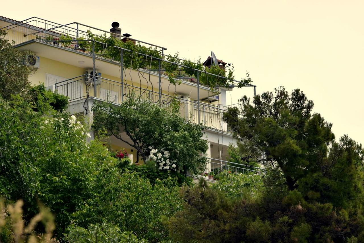 צלינה Apartments Kk מראה חיצוני תמונה